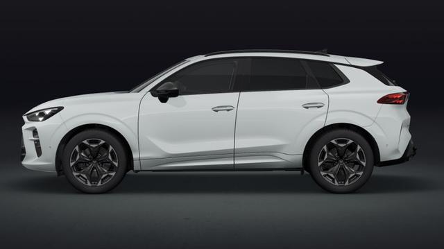 Cupra Terramar VZ 2.0 TSI 7-Gang-DSG 4Drive 