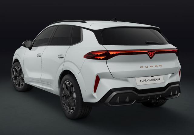 Cupra Terramar VZ 2.0 TSI 7-Gang-DSG 4Drive 