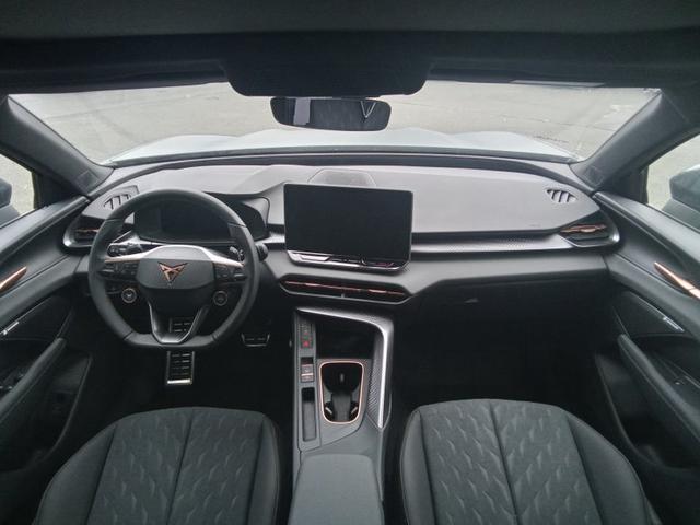 Cupra Terramar VZ 2.0 TSI 7-Gang-DSG 4Drive 