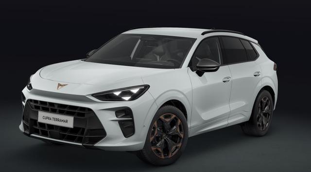 Cupra Terramar - VZ 2.0 TSI 195 kW (265 PS) 7-Gang DSG 4Drive