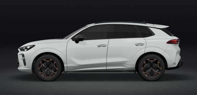 Cupra Terramar VZ 2.0 TSI 195 kW (265 PS) 7-Gang DSG 4Drive 