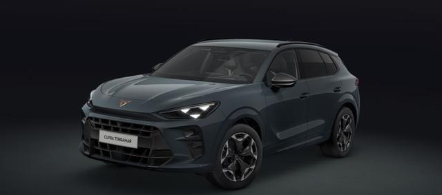 Cupra Terramar - VZ 2.0 TSI