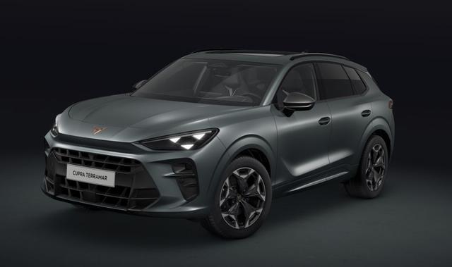 Cupra Terramar - VZ 2.0 TSI 7-Gang-DSG 4Drive