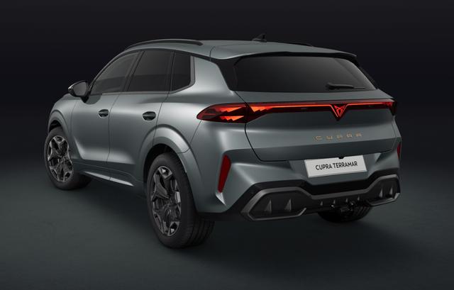 Cupra Terramar VZ 2.0 TSI 7-Gang-DSG 4Drive 