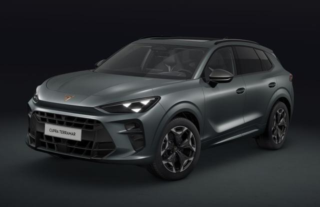 Cupra Terramar - VZ 2.0 TSI 7-Gang-DSG 4Drive