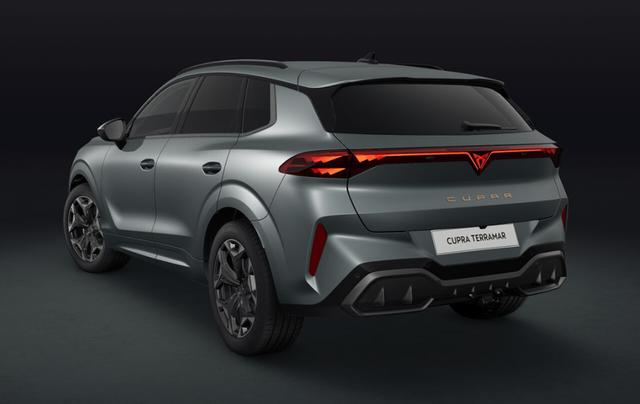 Cupra Terramar VZ 2.0 TSI 7-Gang-DSG 4Drive 