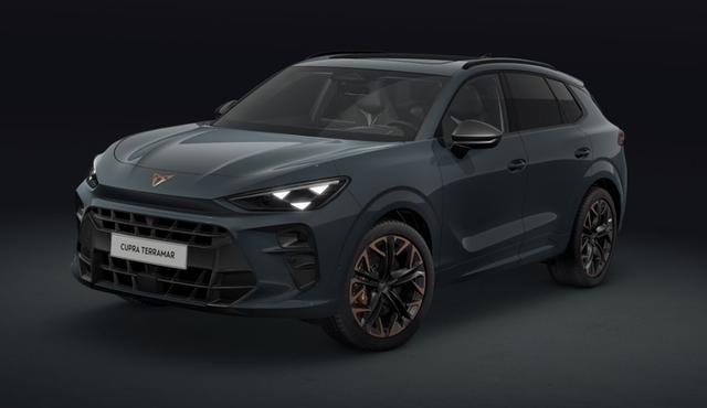 Cupra Terramar - VZ 2.0 TSI 195 kW (265 PS) 7-Gang DSG 4Drive