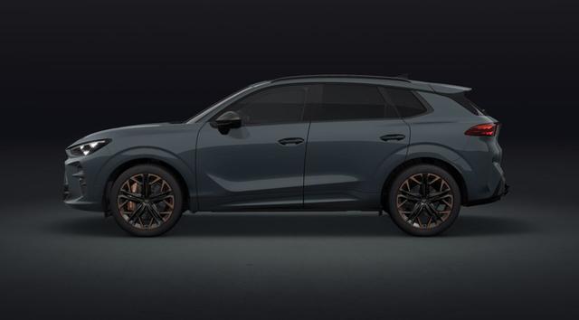 Cupra Terramar - VZ 2.0 TSI 195 kW (265 PS) 7-Gang DSG 4Drive