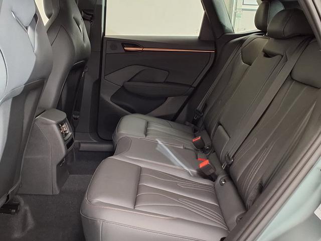 Cupra Terramar America`s CUP Limited Edition 2.0 TSI 195 kW (265 PS) 7-Gang DSG 