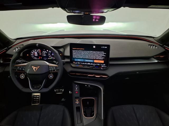 Cupra Terramar VZ 2.0 TSI 7-Gang-DSG 4Drive 