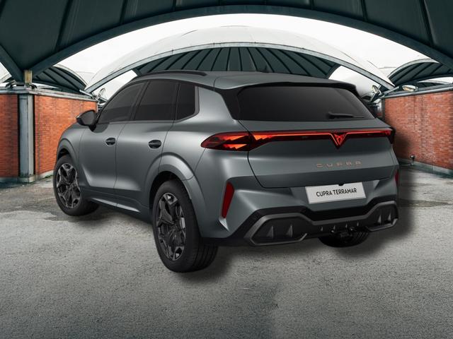 Cupra Terramar VZ 2.0 TSI 7-Gang-DSG 4Drive 