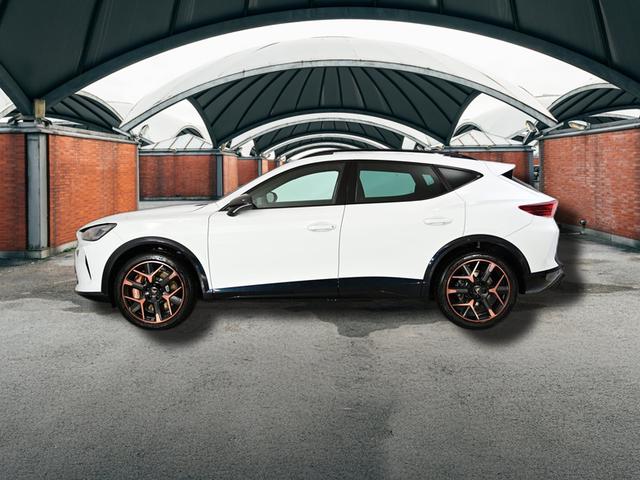 Cupra Formentor VZ 2.0 TSI 7-Gang-DSG 4Drive 