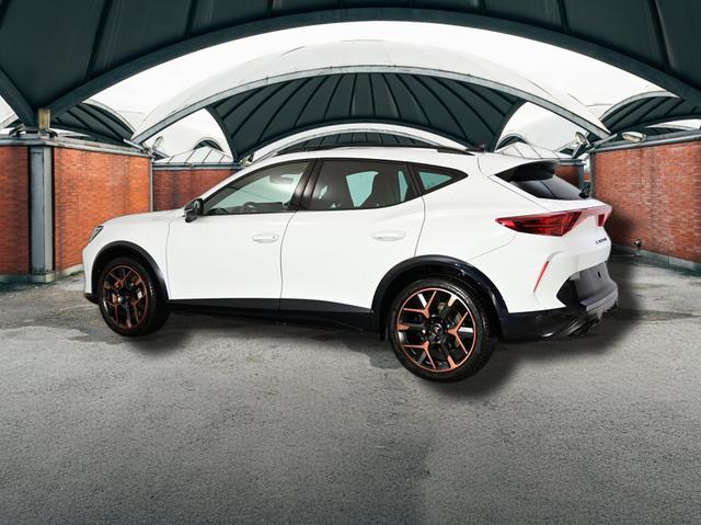 Cupra Formentor VZ 2.0 TSI 7-Gang-DSG 4Drive 