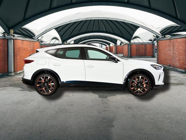 Cupra Formentor VZ 2.0 TSI 7-Gang-DSG 4Drive 