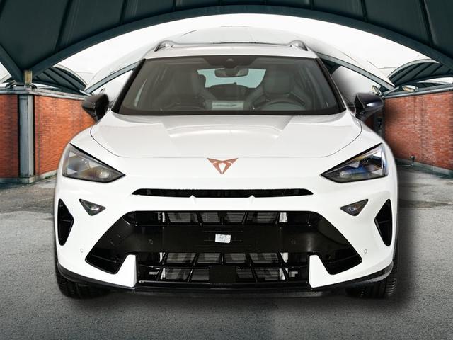 Cupra Formentor VZ 2.0 TSI 7-Gang-DSG 4Drive 