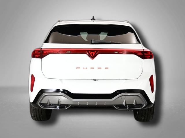 Cupra Terramar VZ 2.0 TSI 7-Gang-DSG 4Drive 