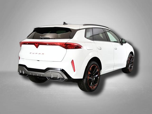 Cupra Terramar VZ 2.0 TSI 7-Gang-DSG 4Drive 