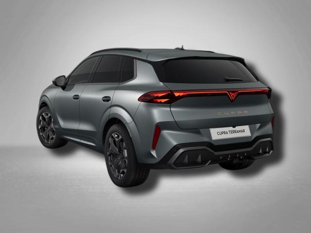 Cupra Terramar VZ 2.0 TSI 7-Gang-DSG 4Drive 