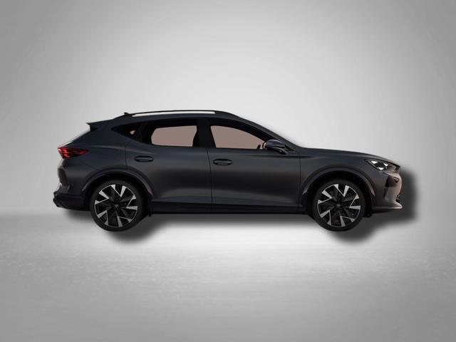 Cupra Formentor VZ 2.0 TSI 7-Gang-DSG 4Drive 