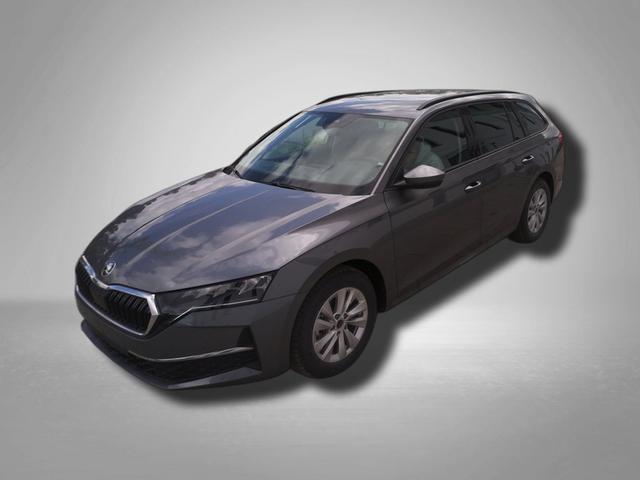 Skoda Octavia Combi - Business 1.5 TSI mHEV 7-Gang-DSG