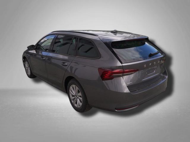 Skoda Octavia Combi - Business 1.5 TSI mHEV 7-Gang-DSG