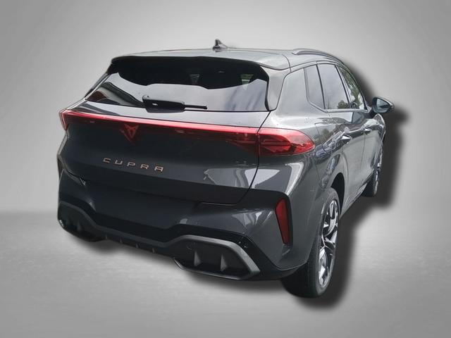 Cupra Terramar VZ 2.0 TSI 7-Gang-DSG 4Drive 