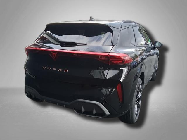 Cupra Terramar VZ 2.0 TSI 7-Gang-DSG 4Drive 