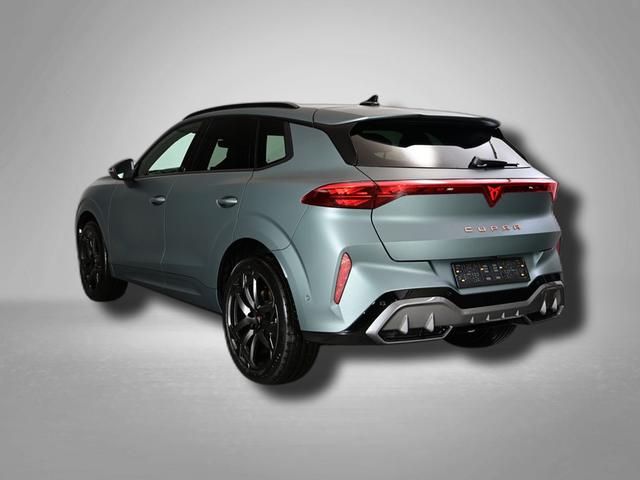 Cupra Terramar America`s CUP Limited Edition 2.0 TSI 195 kW (265 PS) 7-Gang DSG 