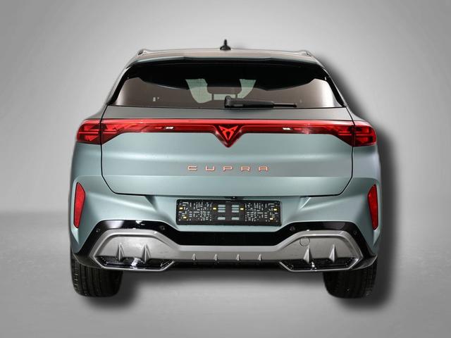 Cupra Terramar America`s CUP Limited Edition 2.0 TSI 195 kW (265 PS) 7-Gang DSG 