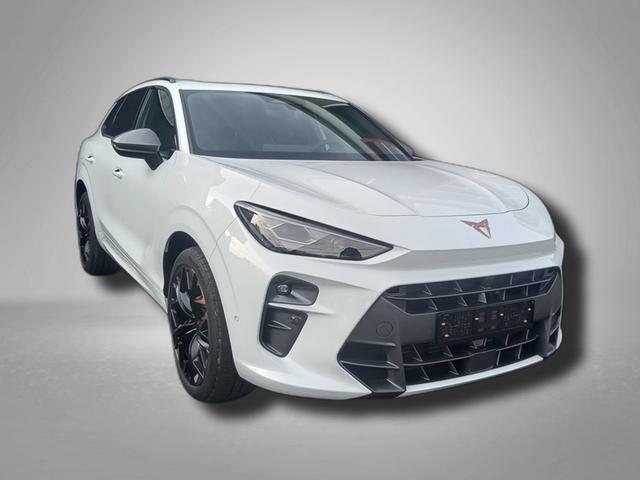 Cupra Terramar - VZ 2.0 TSI 195 kW (265 PS) 7-Gang DSG 4Drive