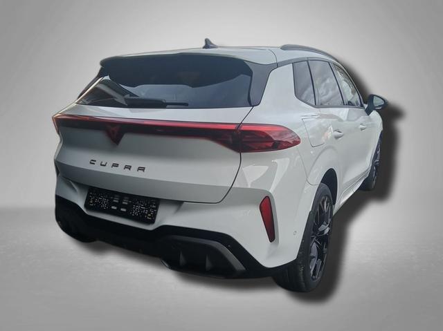 Cupra Terramar VZ 2.0 TSI 195 kW (265 PS) 7-Gang DSG 4Drive 