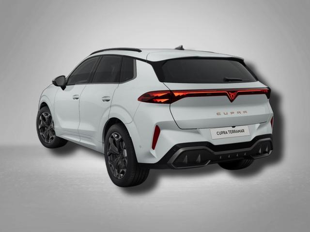 Cupra Terramar VZ 2.0 TSI 195 kW (265 PS) 7-Gang DSG 4Drive 