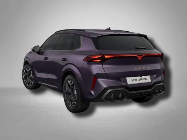 Cupra Terramar VZ 2.0 TSI 195 kW (265 PS) 7-Gang DSG 4Drive 