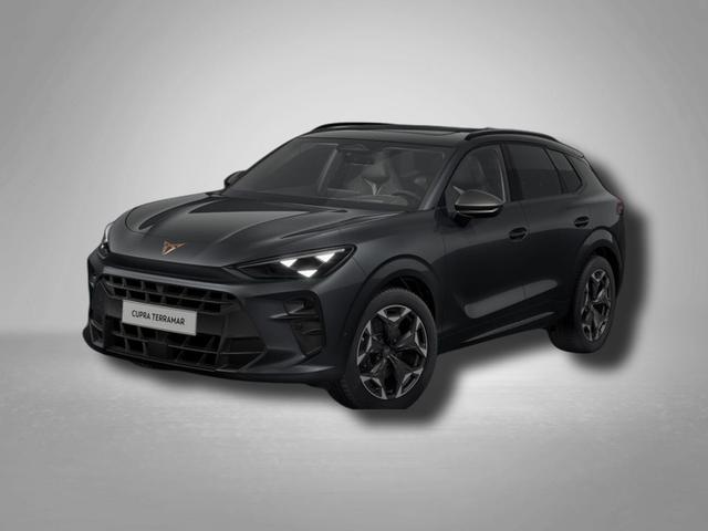 Cupra Terramar - VZ 2.0 TSI 195 kW (265 PS) 7-Gang DSG 4Drive