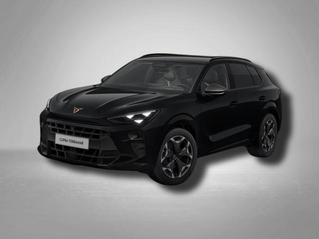 Cupra Terramar - VZ 2.0 TSI