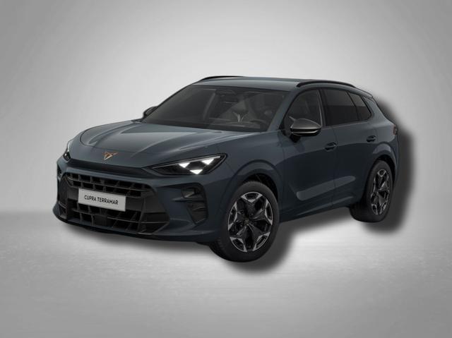 Cupra Terramar - VZ 2.0 TSI