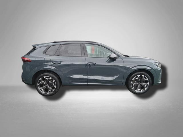 Cupra Terramar VZ 2.0 TSI 7-Gang-DSG 4Drive 