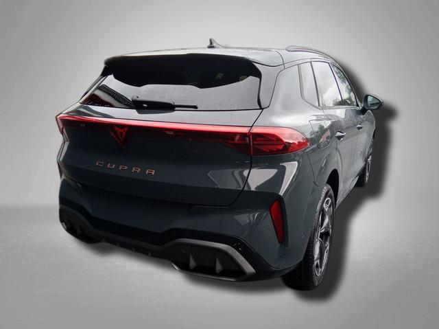 Cupra Terramar VZ 2.0 TSI 7-Gang-DSG 4Drive 