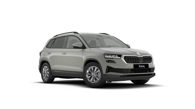 Skoda Karoq - Selection 1.5 TSI 110 7-Gang-DSG
