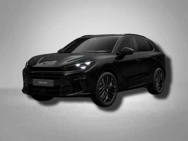 Cupra Terramar VZ Tribe Edition 2.0 TSI 7-Gang-DSG 4Drive 