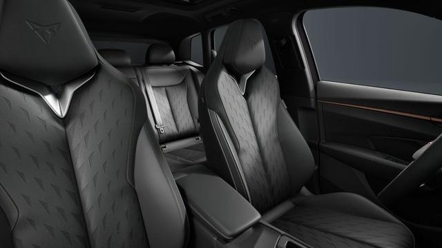 Cupra Terramar VZ 2.0 TSI 7-Gang-DSG 4Drive 