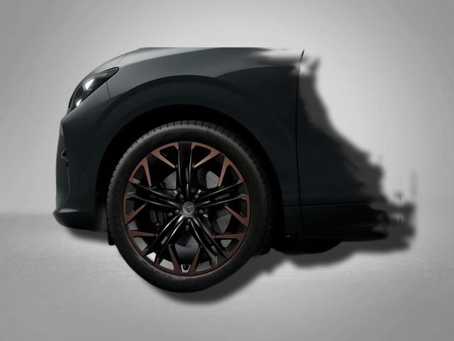 Cupra Terramar VZ 2.0 TSI 7-Gang-DSG 4Drive 