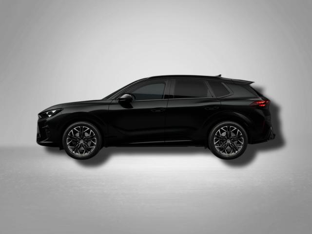 Cupra Terramar - VZ 2.0 TSI 7-Gang-DSG 4Drive