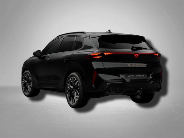 Cupra Terramar VZ 2.0 TSI 7-Gang-DSG 4Drive 