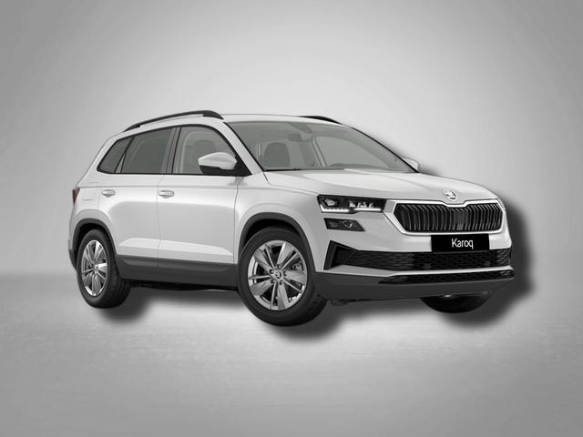 Skoda Karoq - Selection 2.0 TDI 7-Gang-DSG 4x4