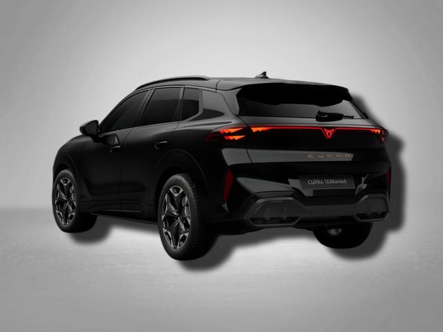 Cupra Terramar VZ 2.0 TSI 4Drive DSG 265 PS 