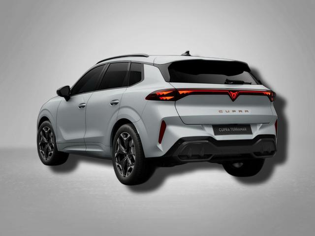 Cupra Terramar VZ 2.0 TSI 