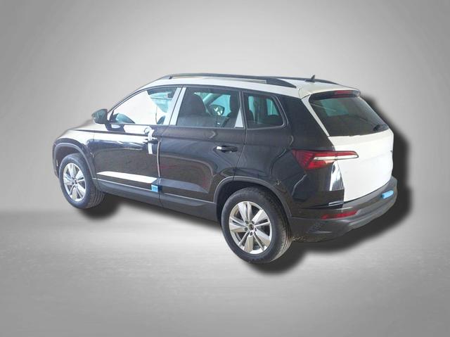 Skoda Karoq Selection 2.0 TDI 7-Gang-DSG 4x4 