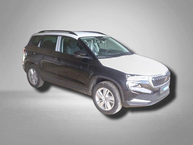Skoda Karoq Selection 2.0 TDI 7-Gang-DSG 4x4 