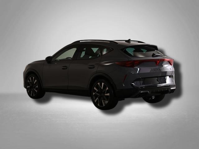 Cupra Formentor VZ 2.0 TSI 7-Gang-DSG 4Drive 